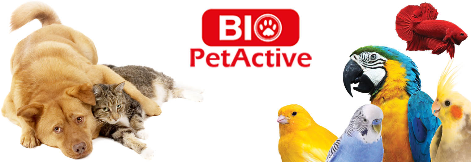 bio petactive